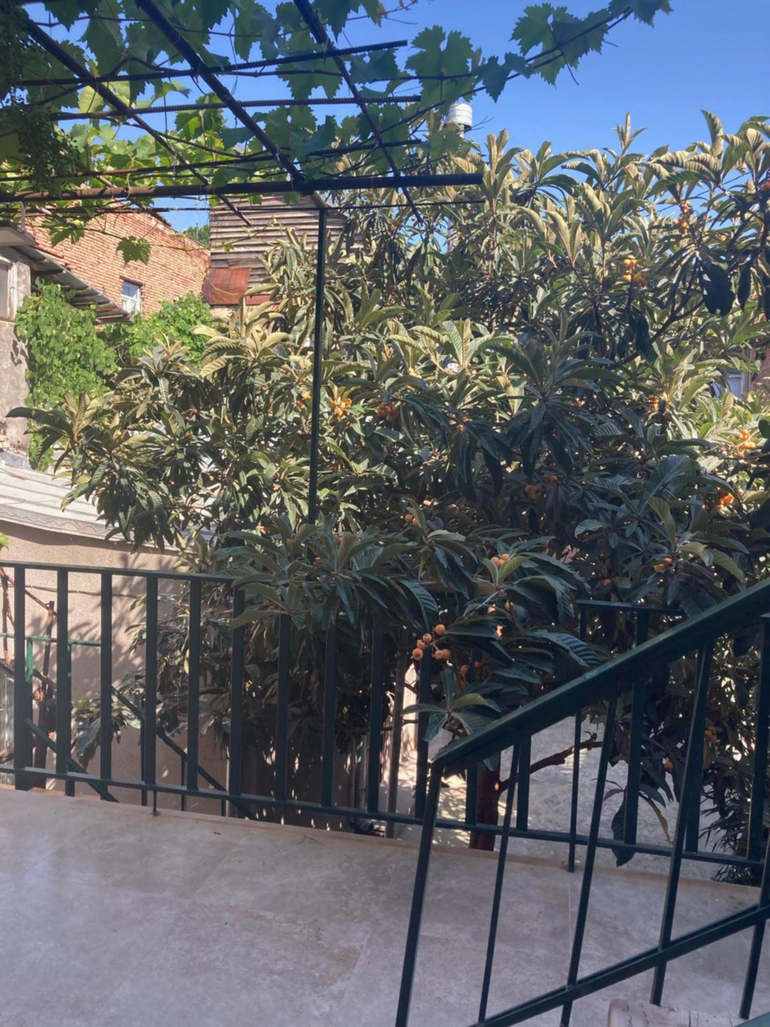 Historic Apartments "1868 Tbilisi" Best Location Esterno foto